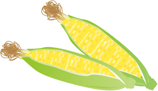 野菜の収穫体験